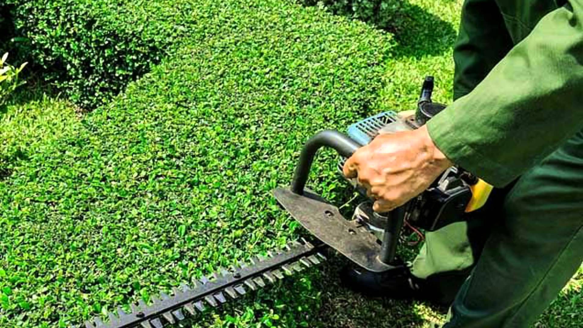 Mantenimiento de jardines